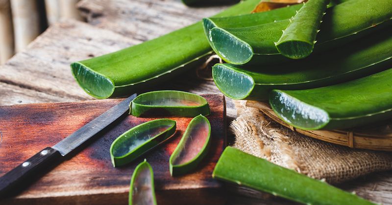 Aloe vera
